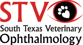 stvo logo (6)